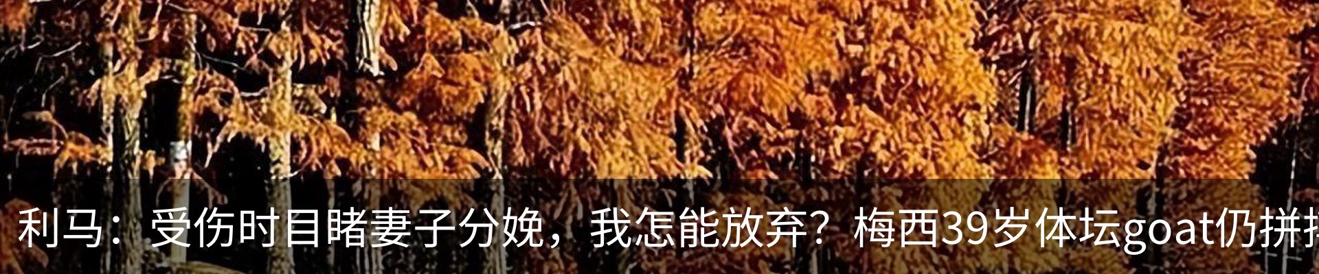 内页banner