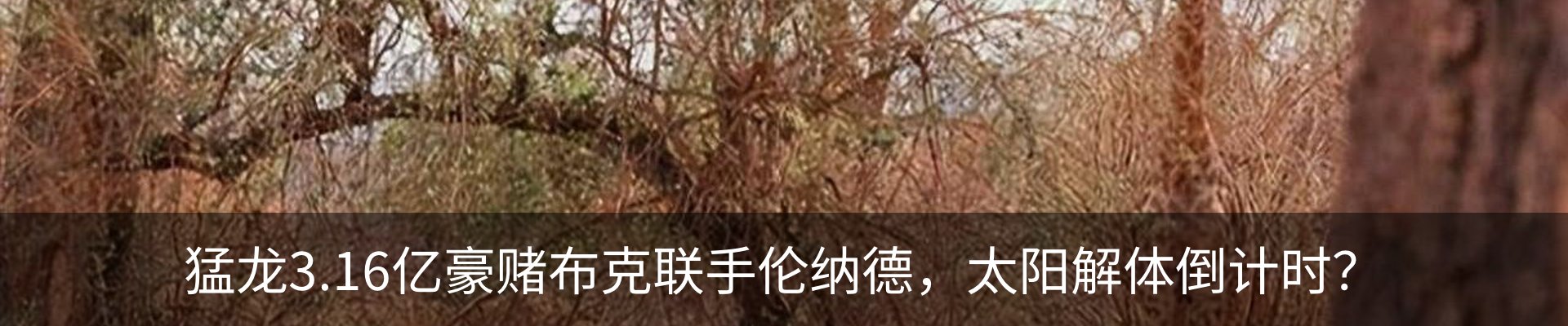 内页banner