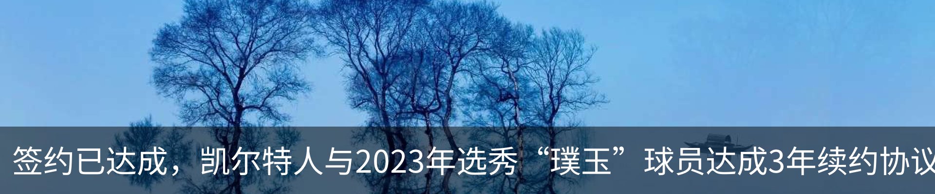 内页banner